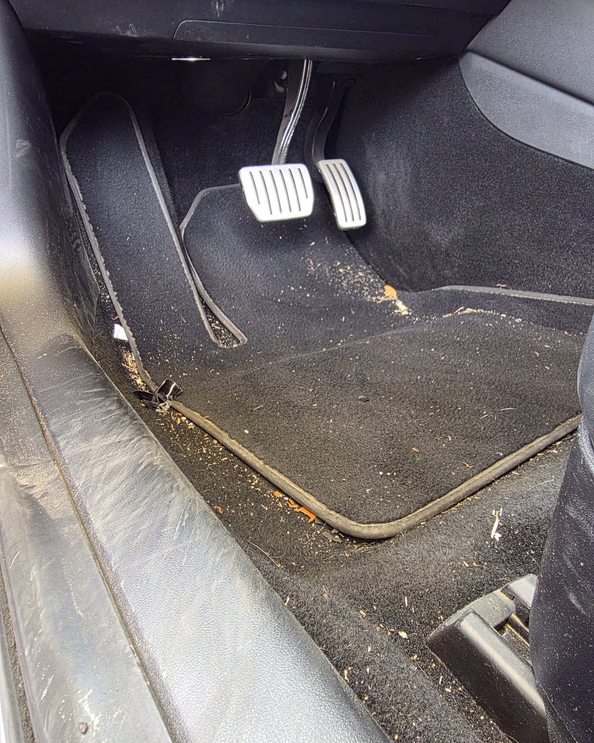 Tesla carpet before detailing